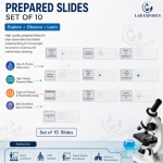 Prepared Slides